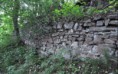 Bukovina-zřícenina 